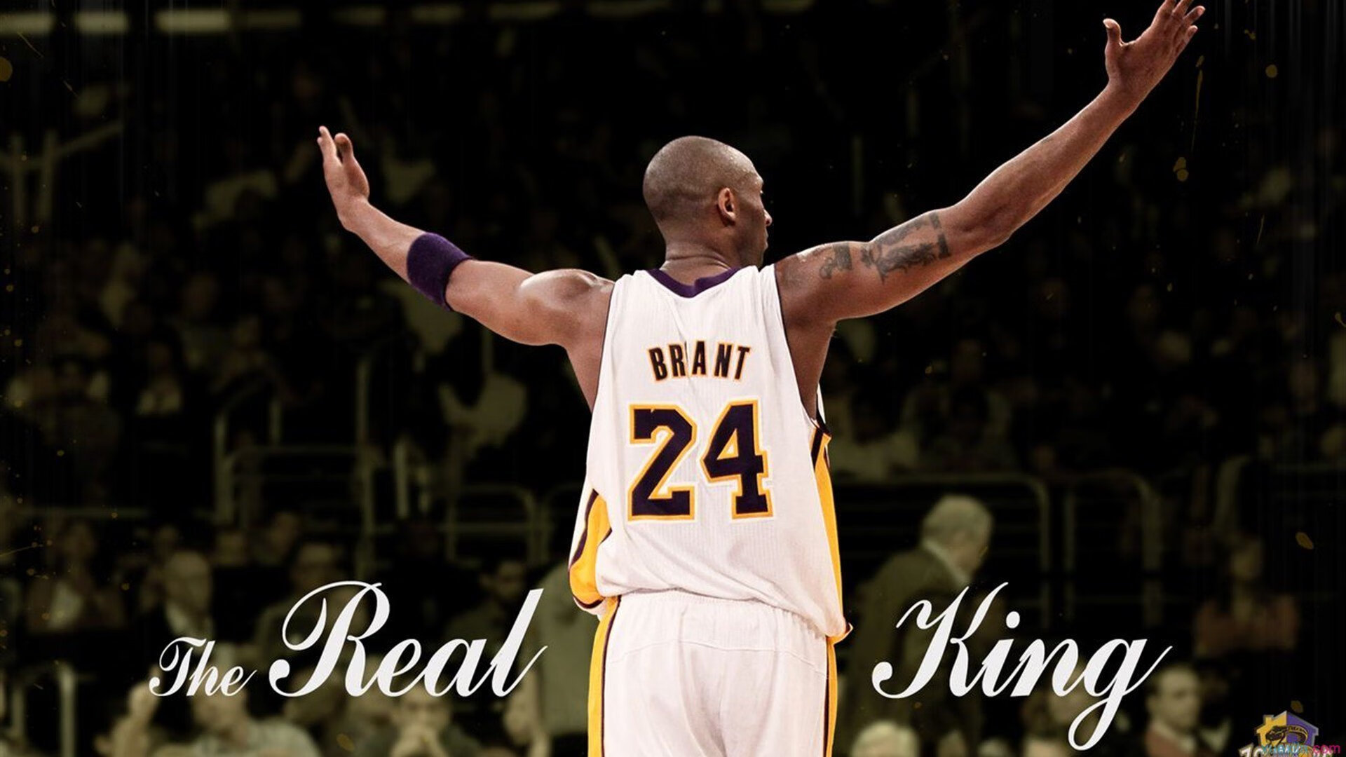 科技升级背后：车队巨额投入的回报，科技造车